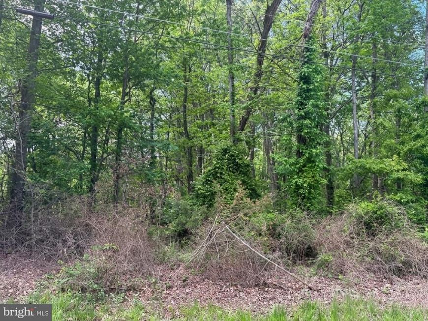 Lenapah Rd, Chestertown, MD 21620 Main Photo