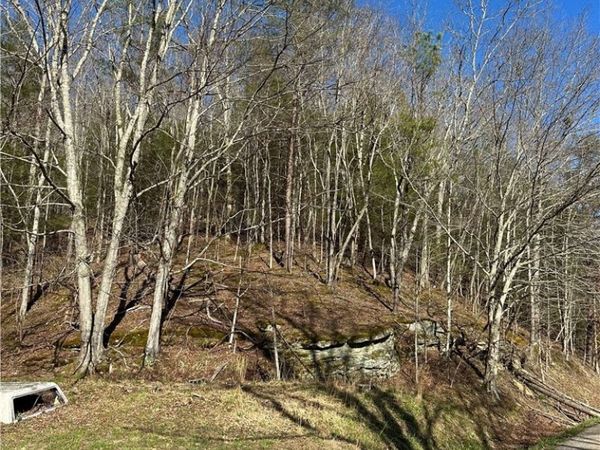 1038 Sycamore Road, Griffithsville, WV 25521