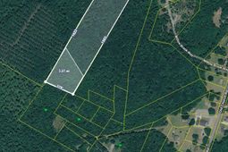 000 Gertie Lane photo 4