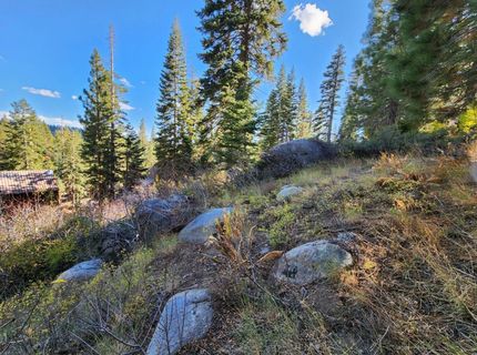 148-lot 102 John Ebbetts Rd, Bear Valley, CA 95223 Photo