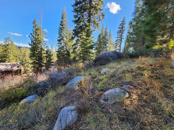 148-lot 102 John Ebbetts Rd, Bear Valley, CA 95223