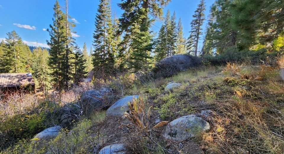 148-lot 102 John Ebbetts Rd, Bear Valley, CA 95223 Photo