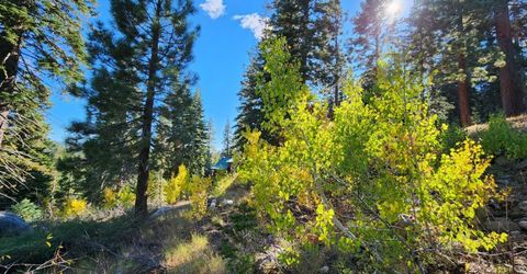 148-lot 102 John Ebbetts Rd, Bear Valley, CA 95223 Photo