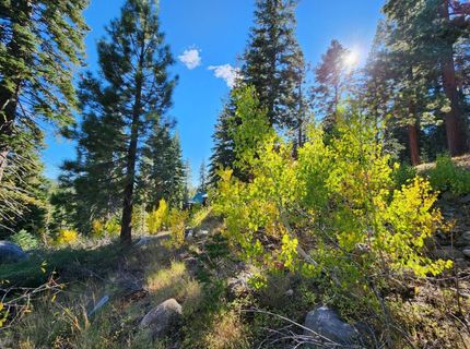 148-lot 102 John Ebbetts Rd, Bear Valley, CA 95223 Photo