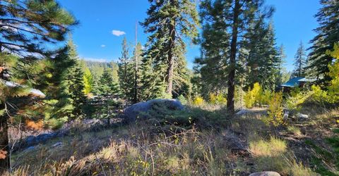 148-lot 102 John Ebbetts Rd, Bear Valley, CA 95223 Photo