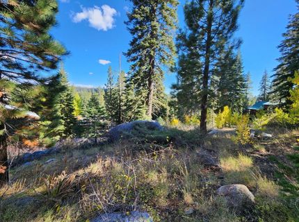 148-lot 102 John Ebbetts Rd, Bear Valley, CA 95223 Photo