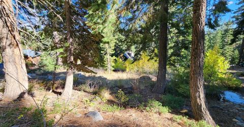 148-lot 102 John Ebbetts Rd, Bear Valley, CA 95223 Photo