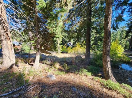 148-lot 102 John Ebbetts Rd, Bear Valley, CA 95223 Photo