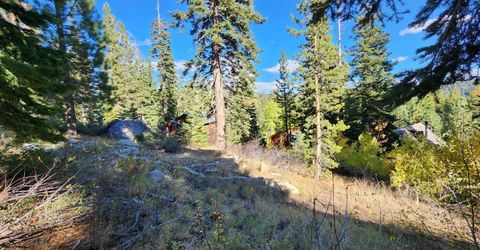 148-lot 102 John Ebbetts Rd, Bear Valley, CA 95223 Photo
