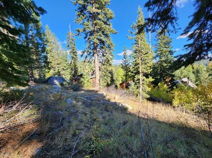148-lot 102 John Ebbetts Rd, Bear Valley, CA 95223 Photo