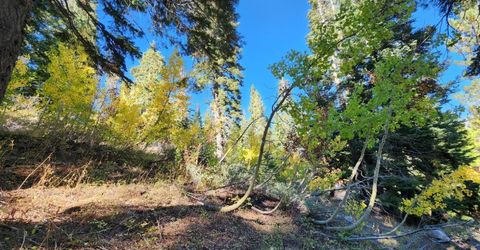 148-lot 102 John Ebbetts Rd, Bear Valley, CA 95223 Photo