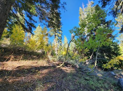 148-lot 102 John Ebbetts Rd, Bear Valley, CA 95223 Photo