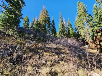 148-lot 102 John Ebbetts Rd, Bear Valley, CA 95223 Photo