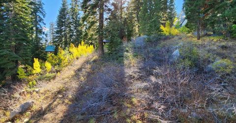 148-lot 102 John Ebbetts Rd, Bear Valley, CA 95223 Photo