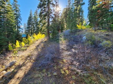 148-lot 102 John Ebbetts Rd, Bear Valley, CA 95223 Photo