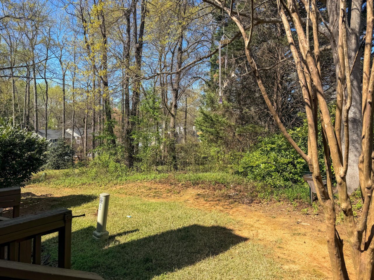 309 Tradd Street Photo 24