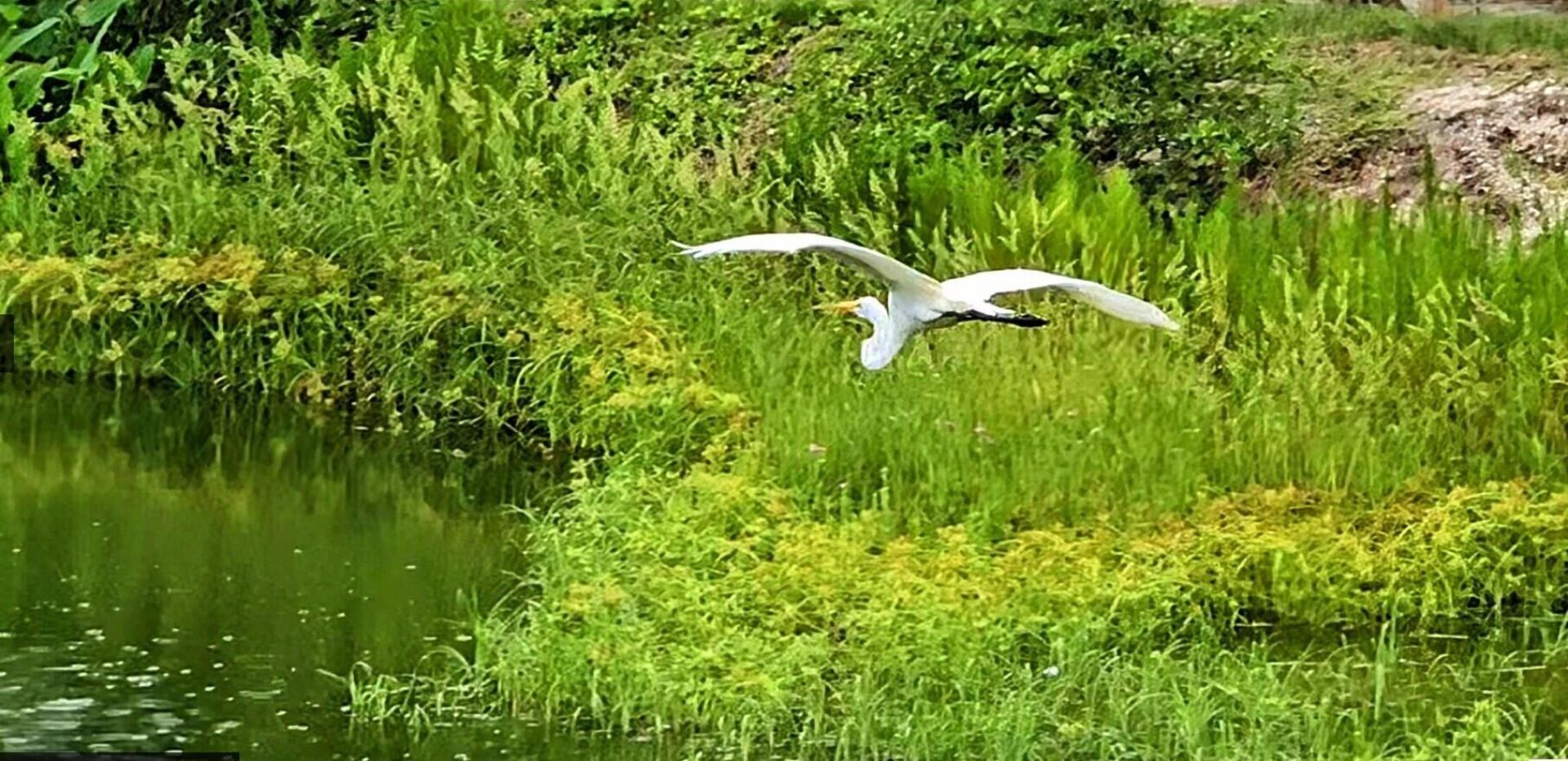 4858 NW 16th Terrace, Boca Raton, FL 33431 Photo