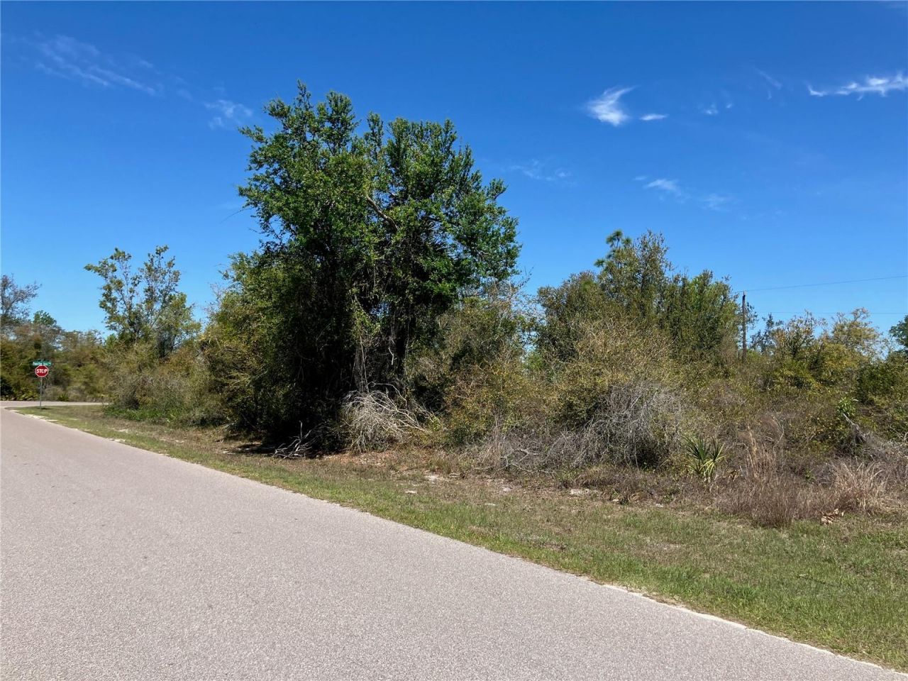 273 Omen Street , Punta Gorda, FL 33982 Photo