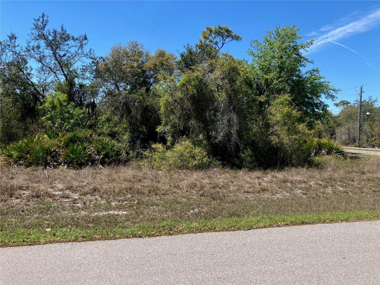 273 Omen Street , Punta Gorda, FL 33982 Photo