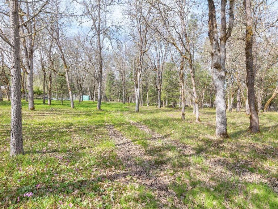 Property Image 62