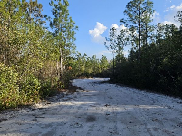 0 Mill Branch Club Road 1E, Pembroke, GA 31321