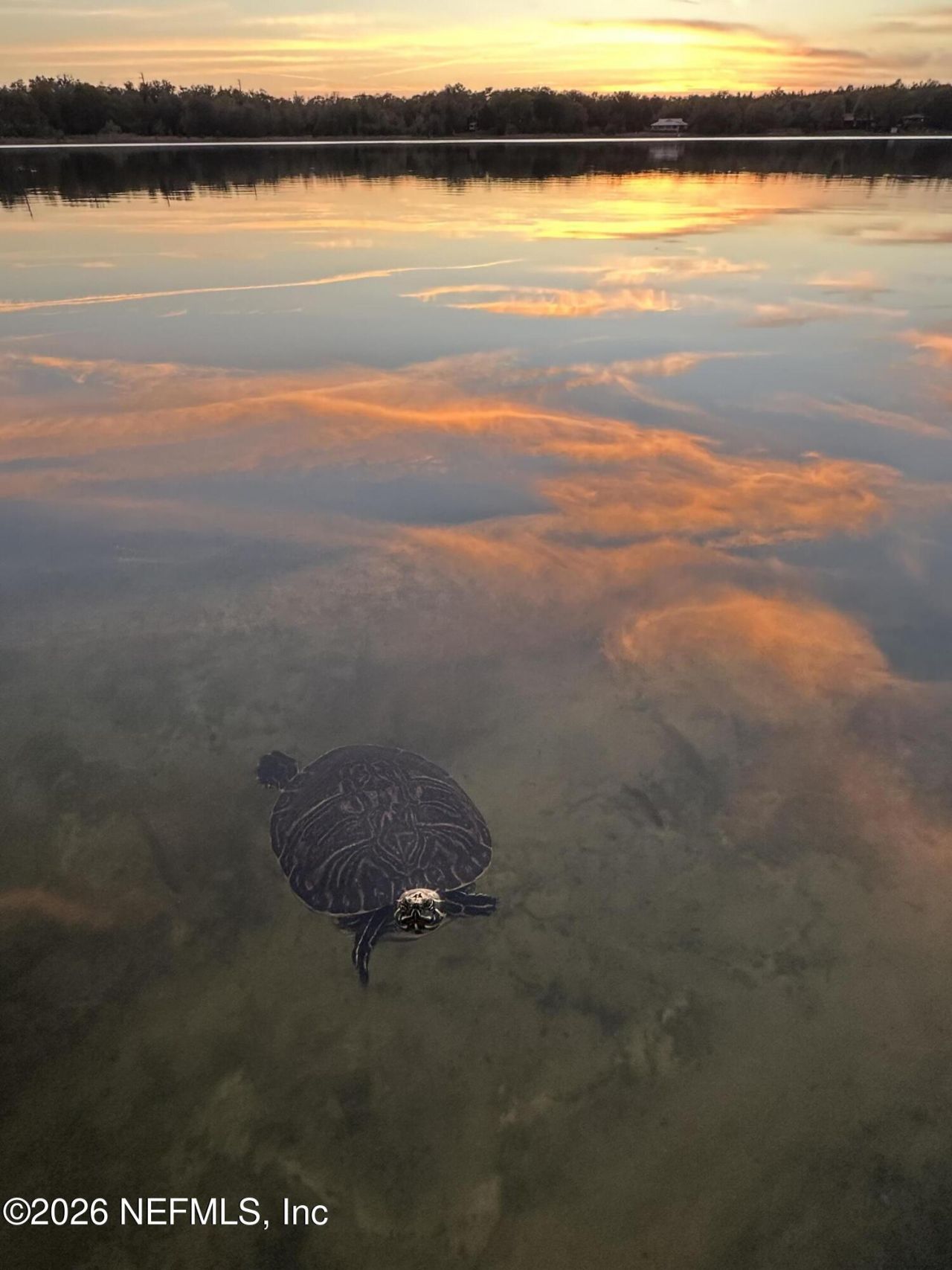 113 Stock Avenue, Interlachen, FL 32148 Photo