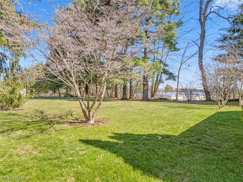 589 Forest Creek Drive, Wooster, OH 44691 Photo 37