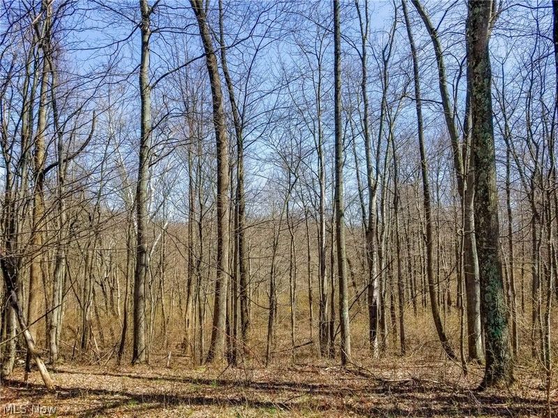 17805 Early Cemetary Road, Kimbolton, OH 43749 Photo 10