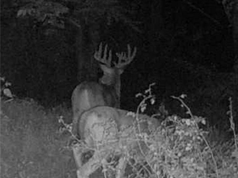 17805 Early Cemetary Road, Kimbolton, OH 43749 Photo 11