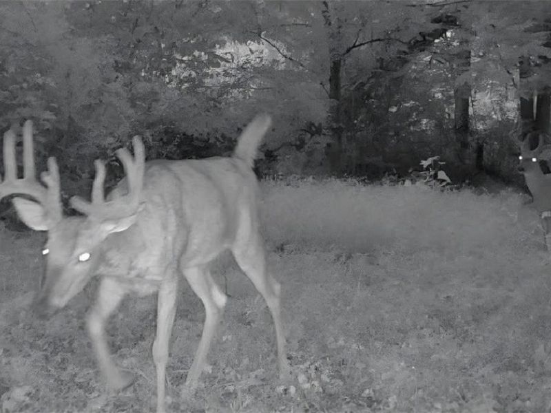 17805 Early Cemetary Road, Kimbolton, OH 43749 Photo 12