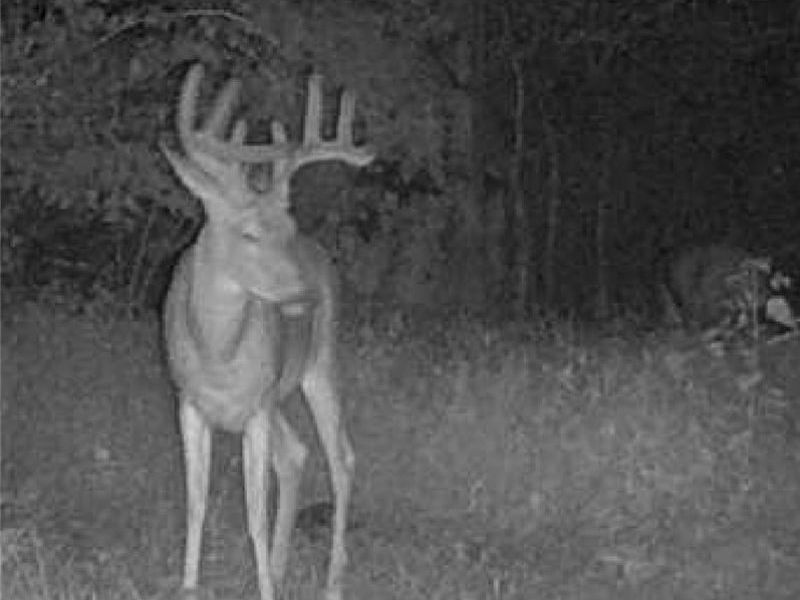 17805 Early Cemetary Road, Kimbolton, OH 43749 Photo 13