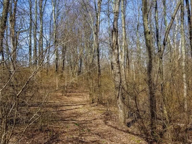 17805 Early Cemetary Road, Kimbolton, OH 43749 Photo 17