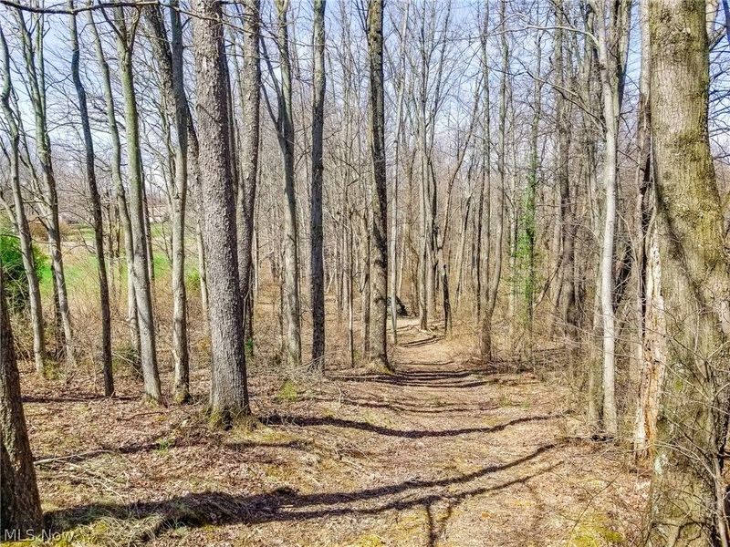 17805 Early Cemetary Road, Kimbolton, OH 43749 Photo 18