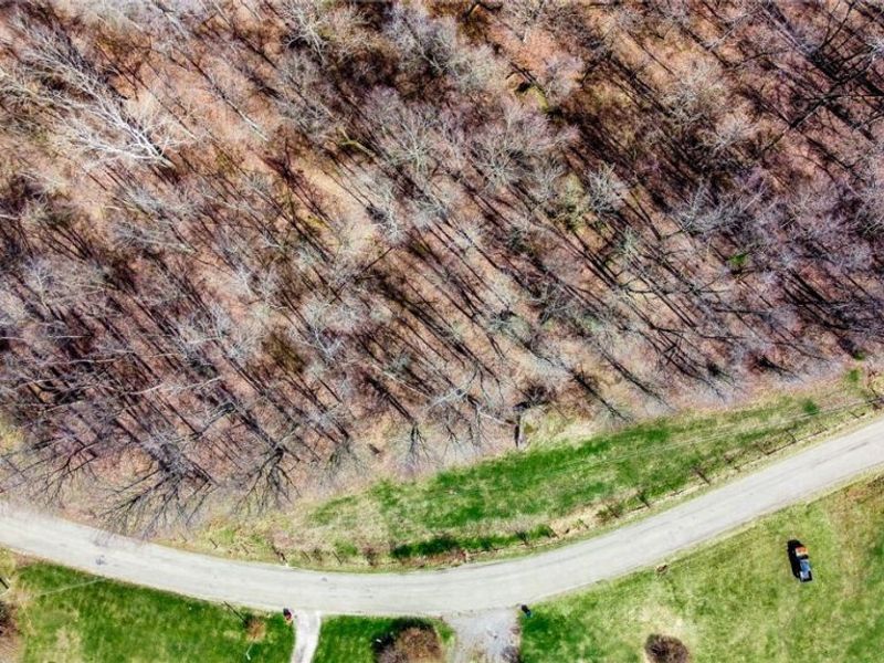 17805 Early Cemetary Road, Kimbolton, OH 43749 Photo 20