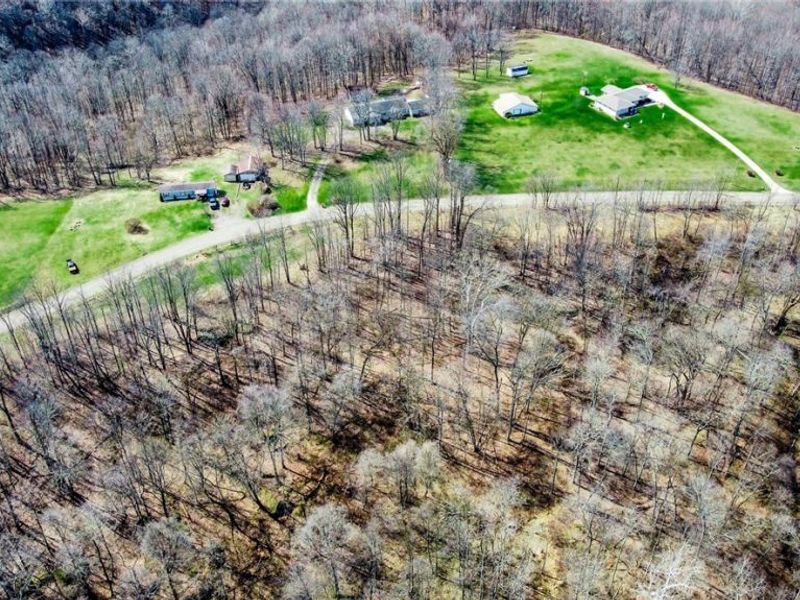 17805 Early Cemetary Road, Kimbolton, OH 43749 Photo 21