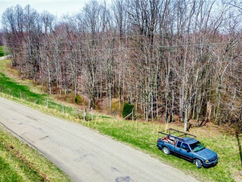 17805 Early Cemetary Road, Kimbolton, OH 43749 Photo 23