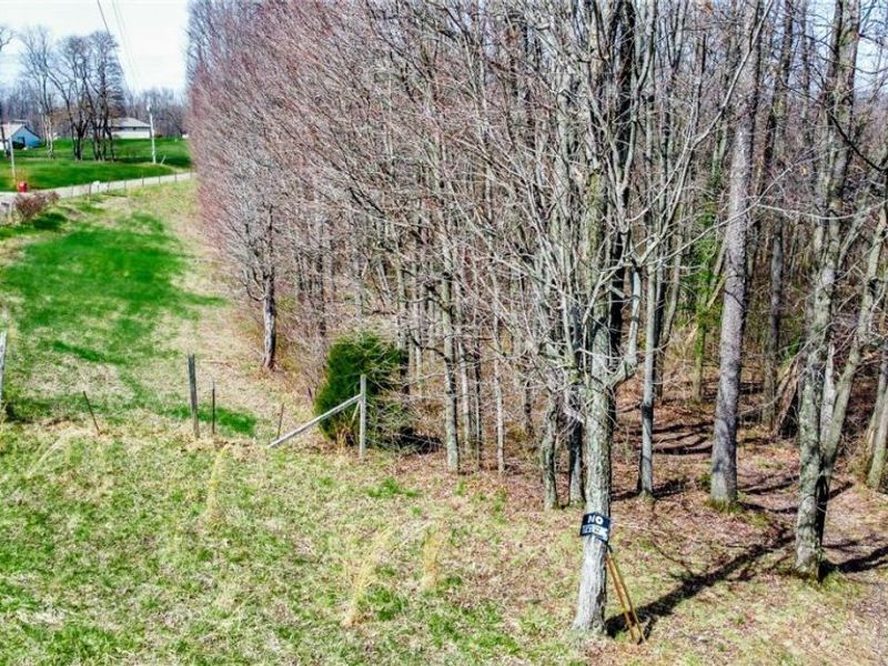 17805 Early Cemetary Road, Kimbolton, OH 43749 Photo 24