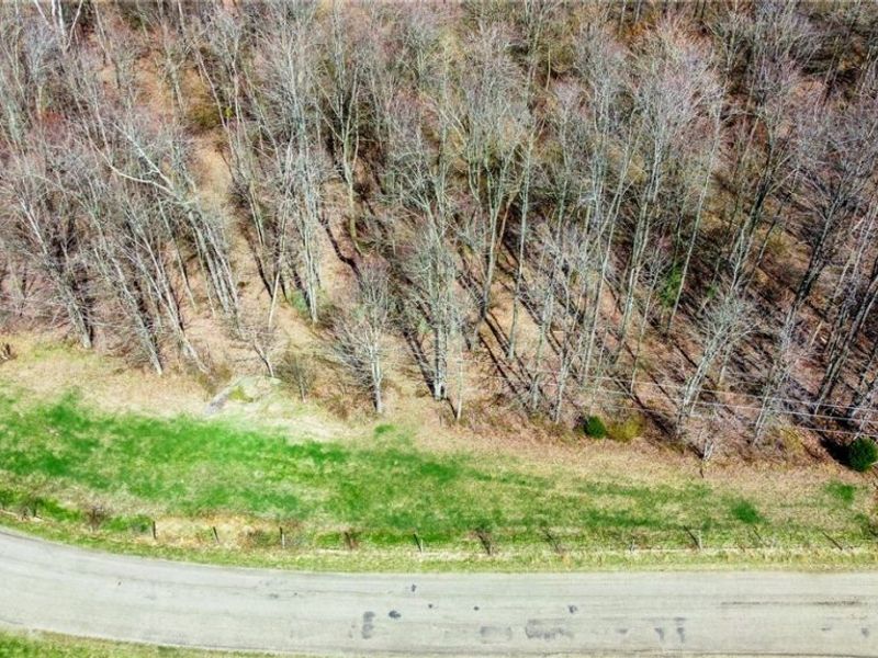 17805 Early Cemetary Road, Kimbolton, OH 43749 Photo 26