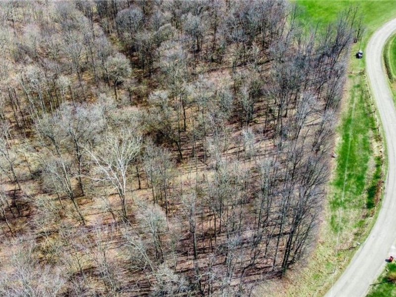 17805 Early Cemetary Road, Kimbolton, OH 43749 Photo 28