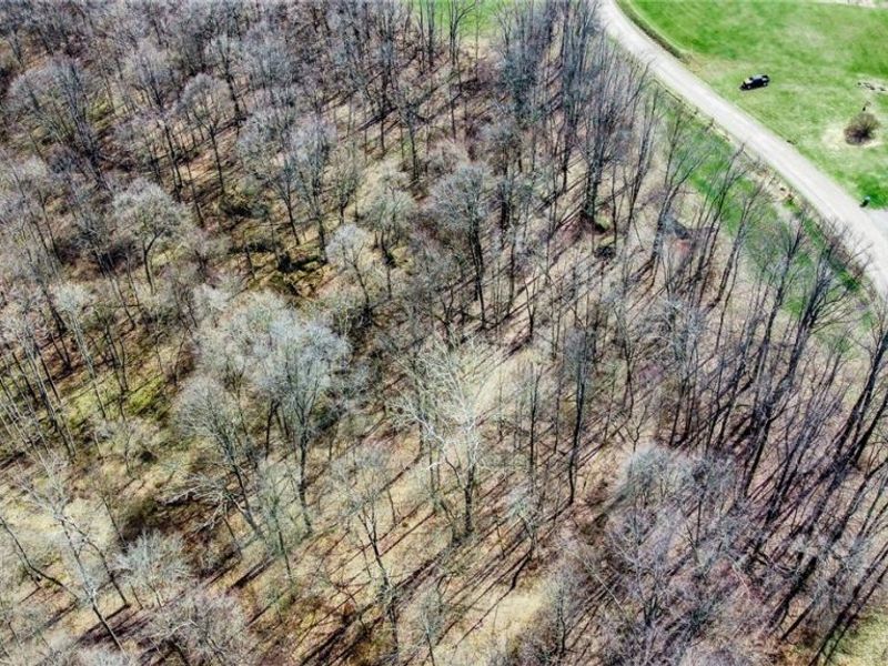 17805 Early Cemetary Road, Kimbolton, OH 43749 Photo 29