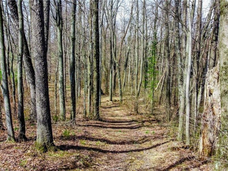 17805 Early Cemetary Road, Kimbolton, OH 43749 Photo 3