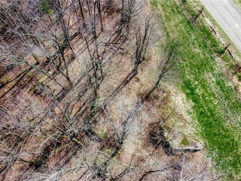 17805 Early Cemetary Road, Kimbolton, OH 43749 Photo 30