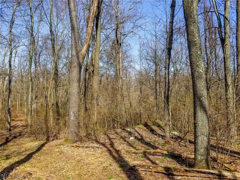 17805 Early Cemetary Road, Kimbolton, OH 43749 Photo 4