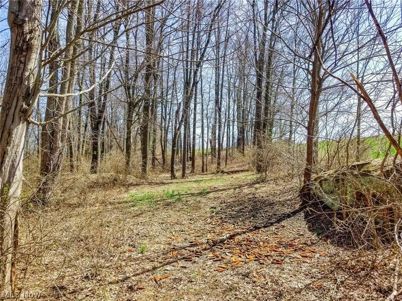 17805 Early Cemetary Road, Kimbolton, OH 43749 Photo 6