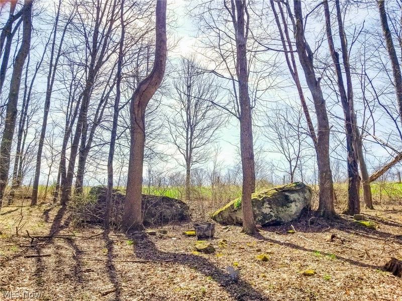 17805 Early Cemetary Road, Kimbolton, OH 43749 Photo 8