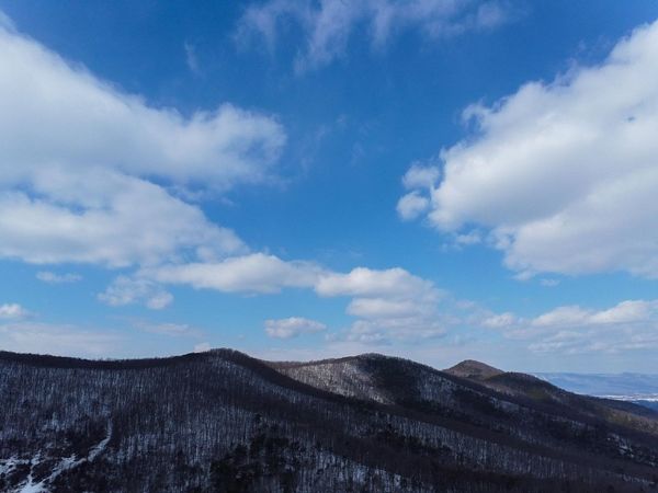 TBD CUBBAGE HOLLOW RD, STANLEY, VA 22851