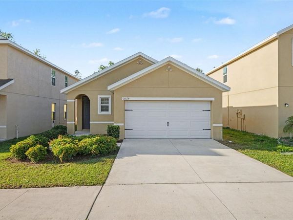 10125 HAWK STORM AVENUE , TAMPA, FL 33610