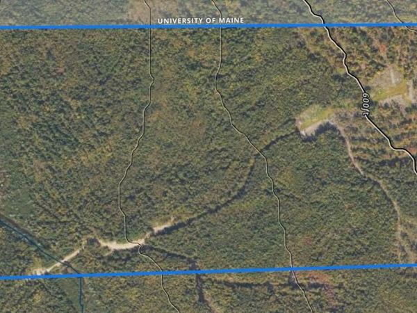 005-005-1 Grendell Road, Chapman, ME 04757