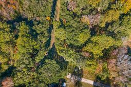 1872 Arsburn Road photo 4