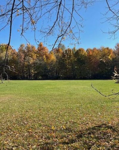 V/l Cr 215, Lawrence, MI 49064 Main Photo